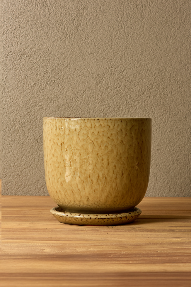 Sardunya Sırlı Saksı