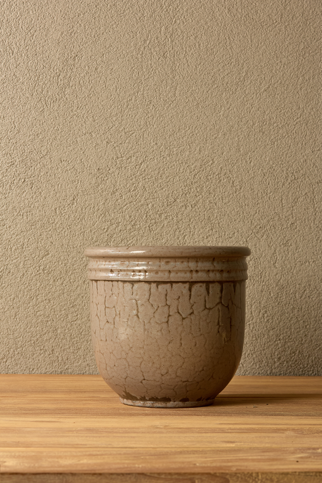 6'lık Sırlı Fitilli Sardunya